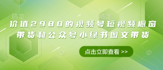 价值2980的视频号短视频橱窗带货和公众号小绿书图文带货-项目网