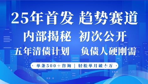 2025年首次公开，真正的事业型赛道，客咨不断，单月轻松破W-项目网