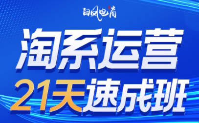 白凤电商·淘系运营21天速成班(更新3月)-项目网