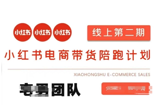小红书电商带货课2期，月利润20个的小红书电商的有货源，无货源，虚拟产品，付费投流等整套玩法-项目网