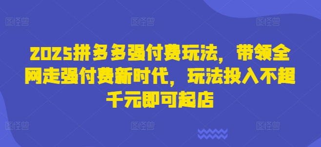 2025拼多多强付费玩法，带领全网走强付费新时代，玩法投入不超千元即可起店-项目网
