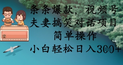 条条爆款，视频号夫妻搞笑对话项目，简单操作，小白轻松日入3张+-项目网