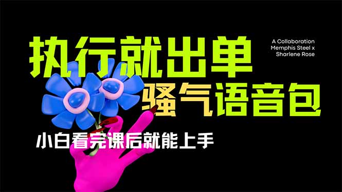 爆火全网的开车导航骚气语音包,只要执行就出单，小白看完课程就能实操…-项目网