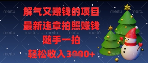 解气又挣钱的项目，最新违章拍照挣钱，随手一拍，轻松收入多张【揭秘】-项目网