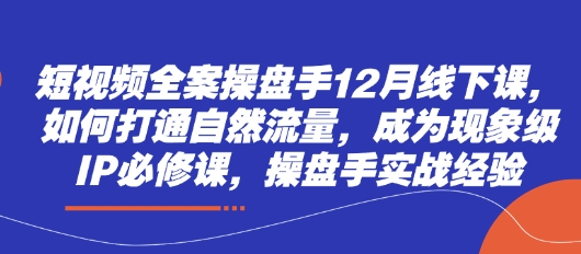 短视频全案操盘手12月线下课，如何打通自然流量，成为现象级IP必修课，操盘手实战经验-项目网