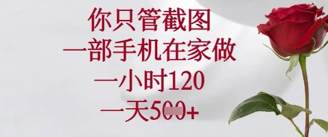 你只管截图，一部手机在家做，苹果安卓都可以，一小时120，一天5张+【揭秘】-项目网