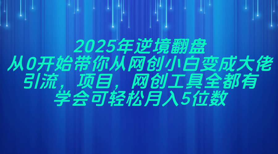 2025年逆境翻盘，从0开始带你从网创小白变成大佬，引流，项目，网创工…-项目网