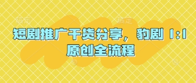 短剧推广干货分享，豹剧 1:1原创全流程-项目网