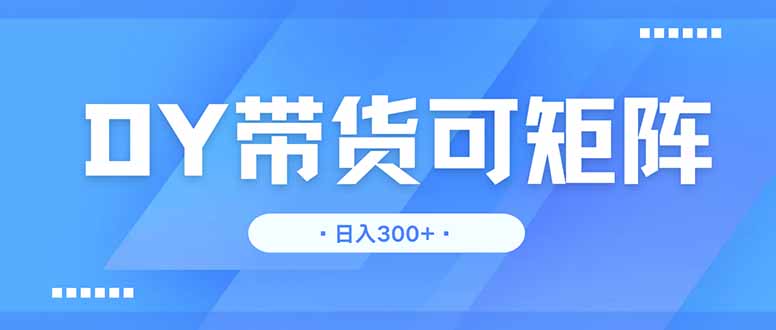 DY带货，日入300＋矩阵无上限-项目网