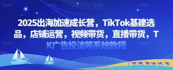 2025出海加速成长营，TikTok基建选品，店铺运营，视频带货，直播带货，TK广告投流等系统教程-项目网