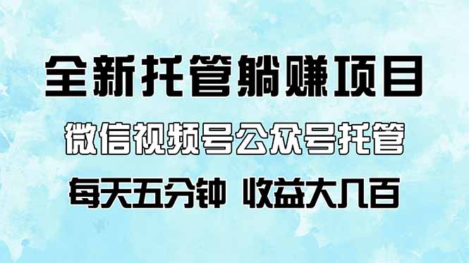 全新托管躺赚项目，微信视频号公众号托管代运营，每天五分钟，收益大几百-项目网