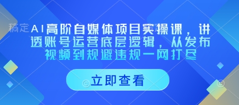 AI高阶自媒体项目实操课，讲透账号运营底层逻辑，从发布视频到规避违规一网打尽-项目网