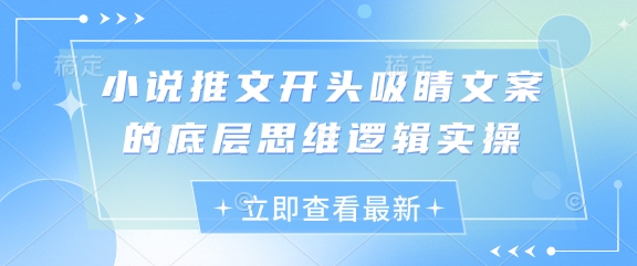 小说推文开头吸睛文案的底层思维逻辑实操-项目网