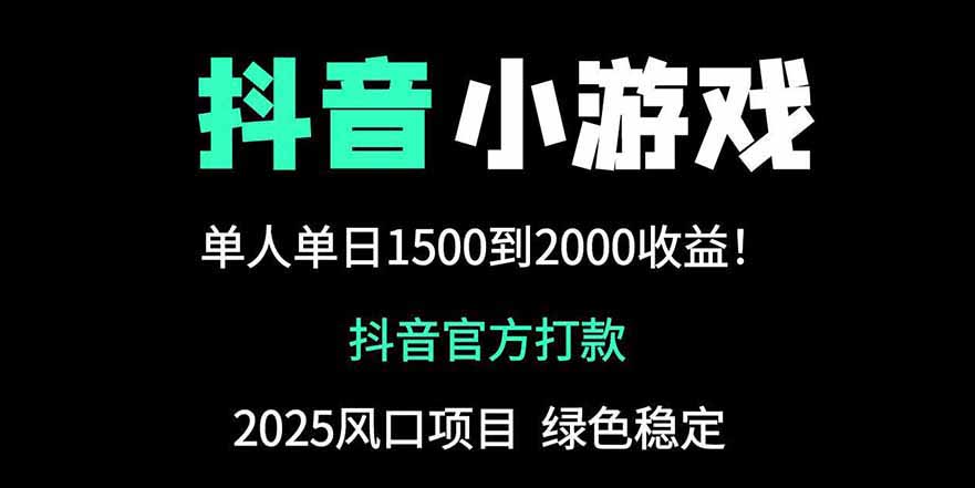 抖音官方小游戏2025全网最新玩法，暴利赚钱项目，单机日入2000+-项目网