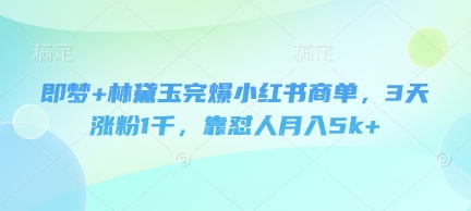 即梦+林黛玉完爆小红书商单，3天涨粉1千，靠怼人月入5k+-项目网