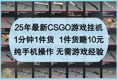 25年最新CSGO游戏挂G，1分钟1件货，1件货挣10元，纯手机操作，无需游戏经验【揭秘】-项目网