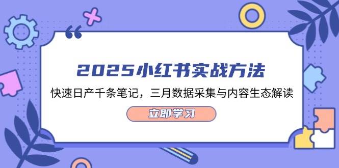 2025小红书实战方法，快速日产千条笔记，三月数据采集与内容生态解读-项目网