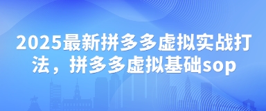 2025最新拼多多虚拟实战打法，拼多多虚拟基础sop-项目网