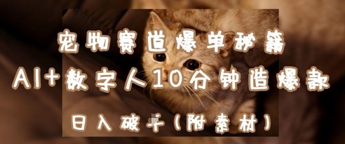 宠物赛道爆单秘籍：AI+数字人10分钟造爆款，日入1k-项目网