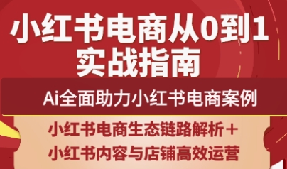 天诺老吴·2025小红书电商全链路运营-项目网
