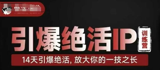 引爆绝活IP训练营，14天引爆绝活，放大你的一技之长-项目网