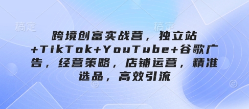 跨境创富实战营，独立站+TikTok+YouTube+谷歌广告，经营策略，店铺运营，精准选品，高效引流-项目网
