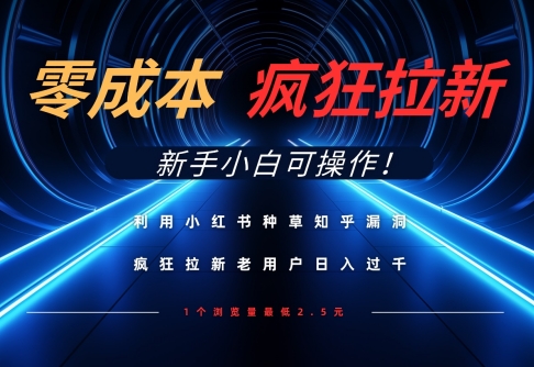 利用小红书种草知乎漏洞，零成本疯狂拉新日入数张，新手小白可操作-项目网