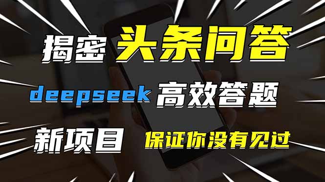 头条问答，刚出的新玩法！保证你没见过！用DeepSeek去高效答题，一个账…-项目网