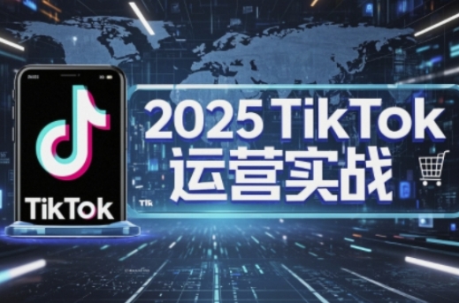 2025TikTok电商运营，掌握TikTok店铺运营核心技巧，实现低成本高转化-项目网