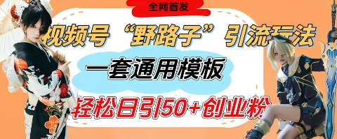 视频号“野路子”玩法，评论区疯狂截流，一套模板单日单号引流50+创业粉-项目网