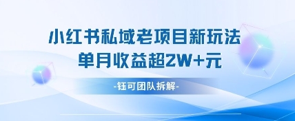 小红书私域项目新玩法，单月变现过W+-项目网