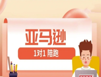 亚马逊1对1陪跑课(FBA/FBM精铺)跨境亚马逊教程-项目网