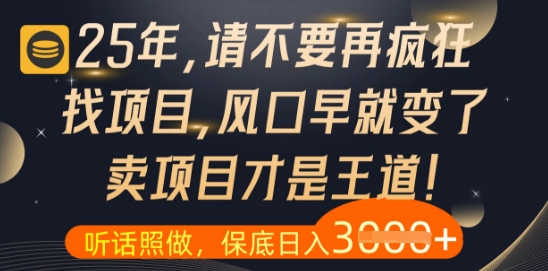 什么？25年你还在疯狂找项目做，醒醒吧，看完这些你全都懂了【揭秘】-项目网