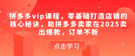 拼多多vip课程，零基础打造店铺的核心秘诀，助拼多多卖家在2025卖出爆款，订单不断-项目网