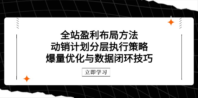 全站盈利布局方法：动销计划分层执行策略，爆量优化与数据闭环技巧-项目网