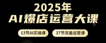 2025年AI爆店运营大课，13节AI实操课+37节流量运营课-项目网