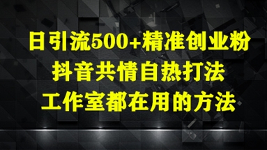 日引流500+精准创业粉，抖音共情自热打法，工作室都在用的方法-项目网