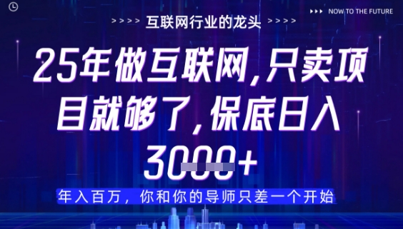 什么！25年你还在找项目做？风口早就变了，卖项目才是稳挣不赔【揭秘】-项目网