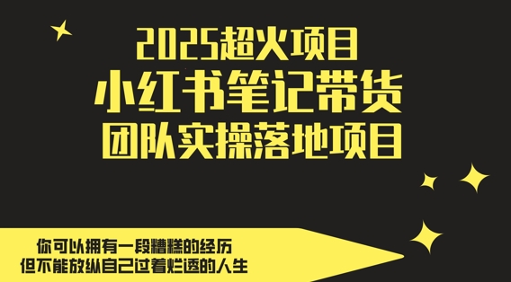 2025超火项目，副业最佳选择，小红书笔记带货团队实操落地项目，，轻松日入5张-项目网