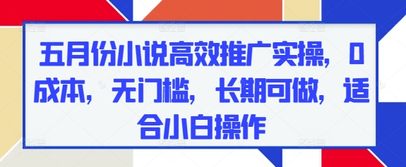 五月份小说高效推广实操，0成本，无门槛，长期可做，适合小白操作-项目网