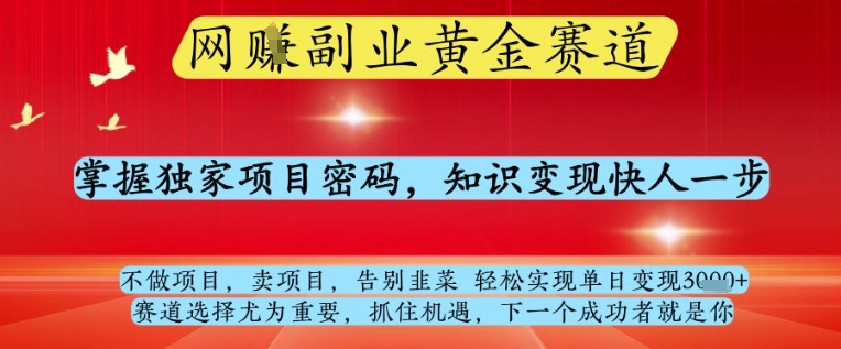 网创副业黄全赛道，掌握独家项目密码，知识变现快人一步，告别韭菜轻松实现单日变现1k+【揭秘】-项目网