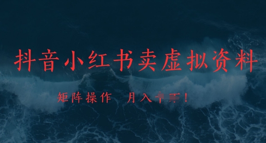 抖音小红书卖虚拟资料，市场需求一直存在，矩阵操作，月入1w+-项目网