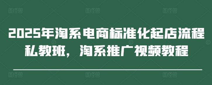 2025年淘系电商标准化起店流程私教班，淘系推广视频教程-项目网