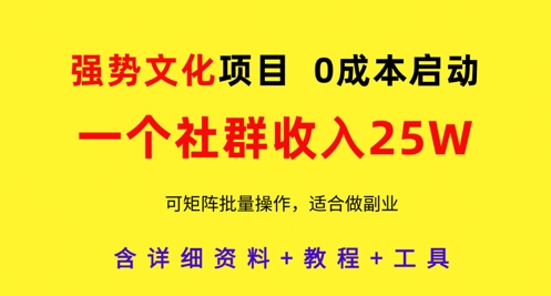 强势文化项目，一个社群收入25个W，0成本启动，可矩阵批量操作，原创详细实操教程-项目网