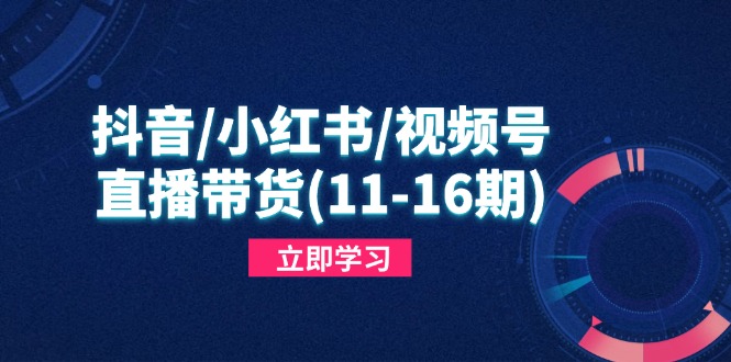 抖音/小红书/视频号/直播带货(11-16期-项目网