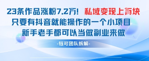 抖音私域项目23条作品涨粉7.2W，私域变现1W-项目网