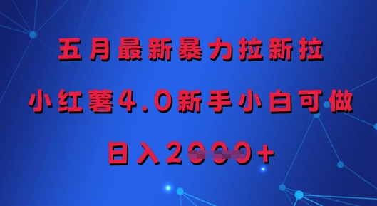 五月最新暴力拉新拉，小红薯4.0新手小白可做，日入多张-项目网