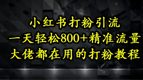 小红书打粉引流，一天轻松500+精准流量，大佬都在用的打粉教程-项目网