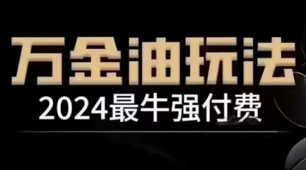 2024最牛强付费，万金油强付费玩法，干货满满，全程实操起飞(更新25年04月)-项目网