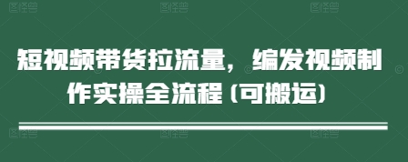 短视频带货拉流量，编发视频制作实操全流程(可搬运)-项目网
